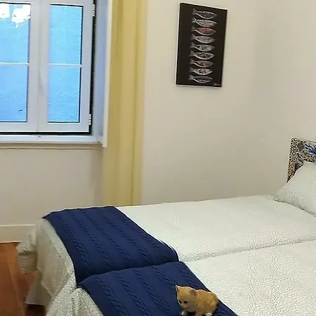 Rainbow 56 Πανσιόν 3*