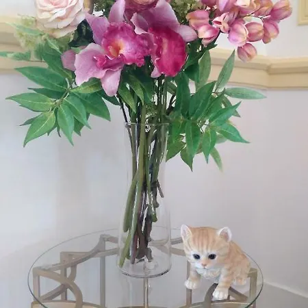 Casa de hóspedes Rainbow 56 Lisboa